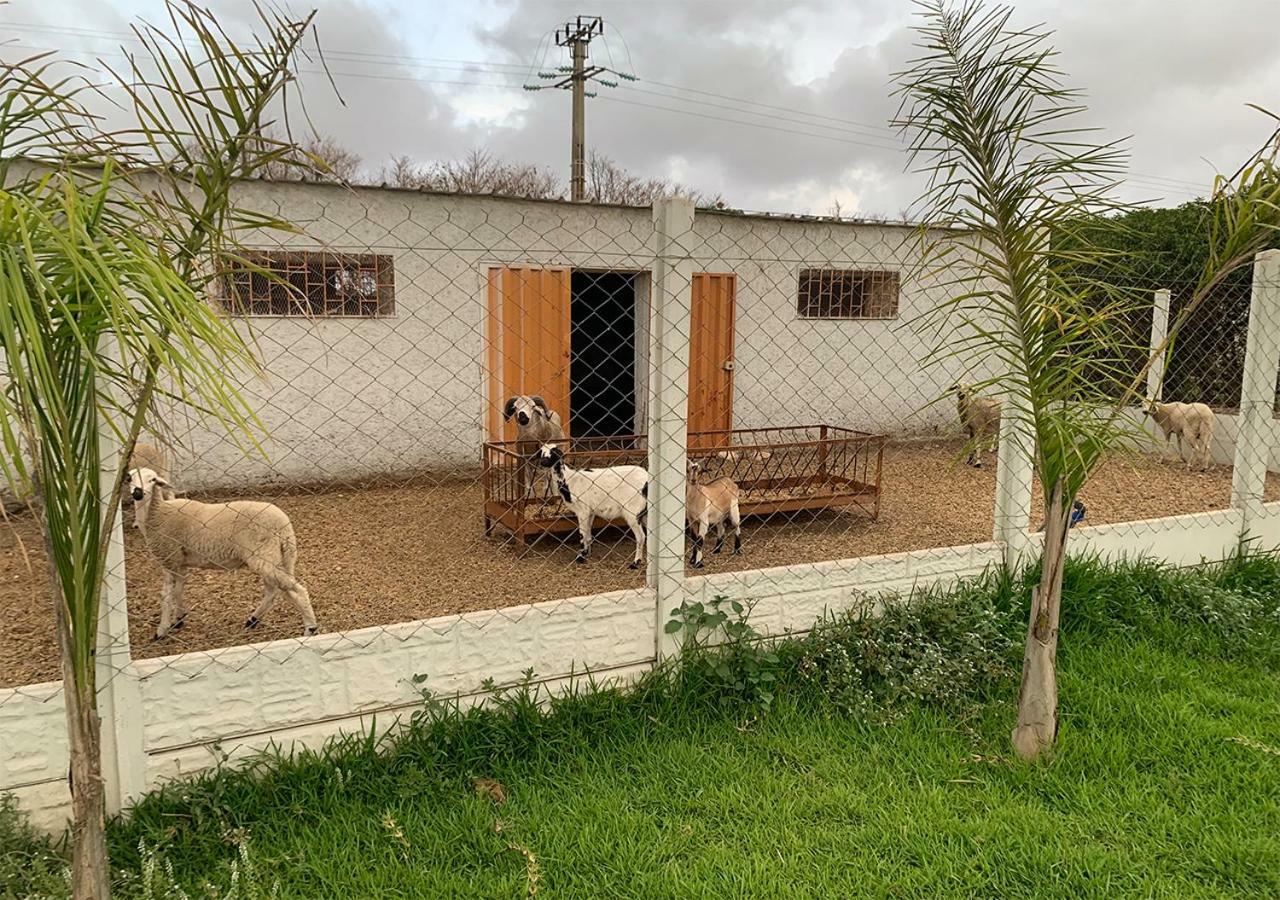 Tit Mellil Palm Grove Farm 빌라 외부 사진